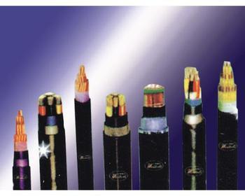 <a href='http://e-yinshua.com.cn/newslist.asp?classid=43'>輻照電纜</a> 輻照電纜