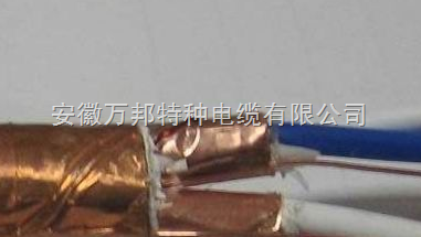 銅帶屏蔽計算機電纜 銅帶屏蔽計算機電纜