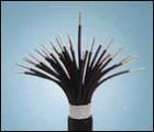 <a href='http://e-yinshua.com.cn/productslist.asp?classid=6'>控制電纜</a> 控制電纜