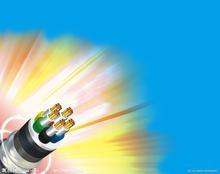 變頻電纜 BPYJVTP2-TK ZRBPYJVTP2-T 回路電纜  變頻電纜 BPYJVTP2-TK ZRBPYJVTP2-T 回路電纜