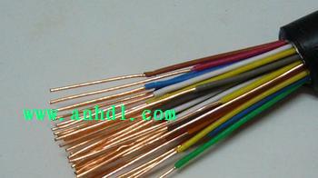 HJYVZR/SA,HJYVP2ZR/SA,HJYVP3ZR/SA ,HJ<a href='http://e-yinshua.com.cn/productslist.asp?classid=11'>YJV</a>PZR/SA,HJYJVP3ZR/SA呼叫通信電纜 HJYVZR/SA,HJYVP2ZR/SA,HJYVP3ZR/SA ,HJYJVPZR/SA,HJYJVP3ZR/SA呼叫通信電纜