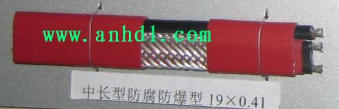 自控溫電熱帶 自控溫電熱帶