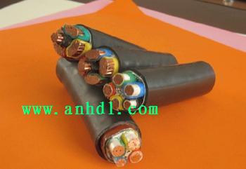 NH-<a href='http://e-yinshua.com.cn/productslist.asp?classid=11'>YJV</a>交聯(lián)聚乙烯絕緣耐火電力電纜http://e-yinshua.com.cn NH-YJV交聯(lián)聚乙烯絕緣耐火電力電纜http://e-yinshua.com.cn