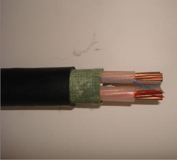 輻照交聯(lián)電纜-WZDF-YJE 輻照交聯(lián)電纜-WZDF-YJE
