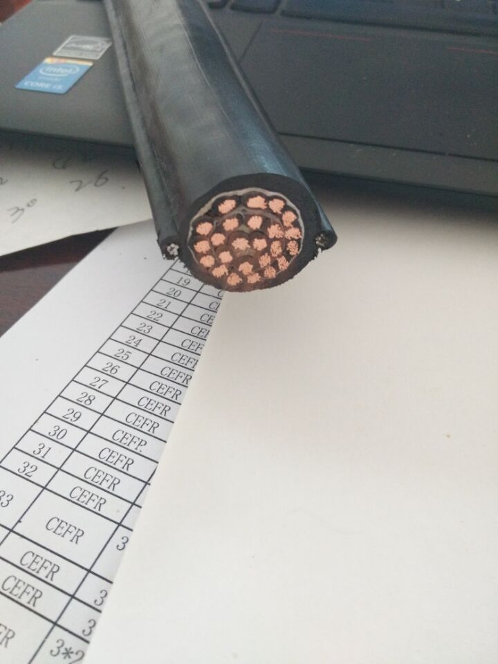 늄(dng)J|RVVY1G RVVY2G