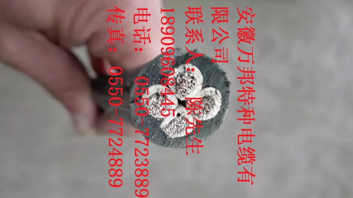 風(fēng)力發(fā)電用電力電纜FDLTXP FDLTXP 風(fēng)力發(fā)電用電力電纜FDLTXP FDLTXP