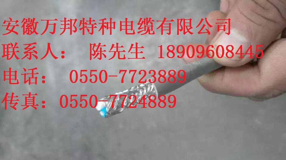 風(fēng)力發(fā)電用電力電纜FDLTXP FDLTXP 風(fēng)力發(fā)電用電力電纜FDLTXP FDLTXP