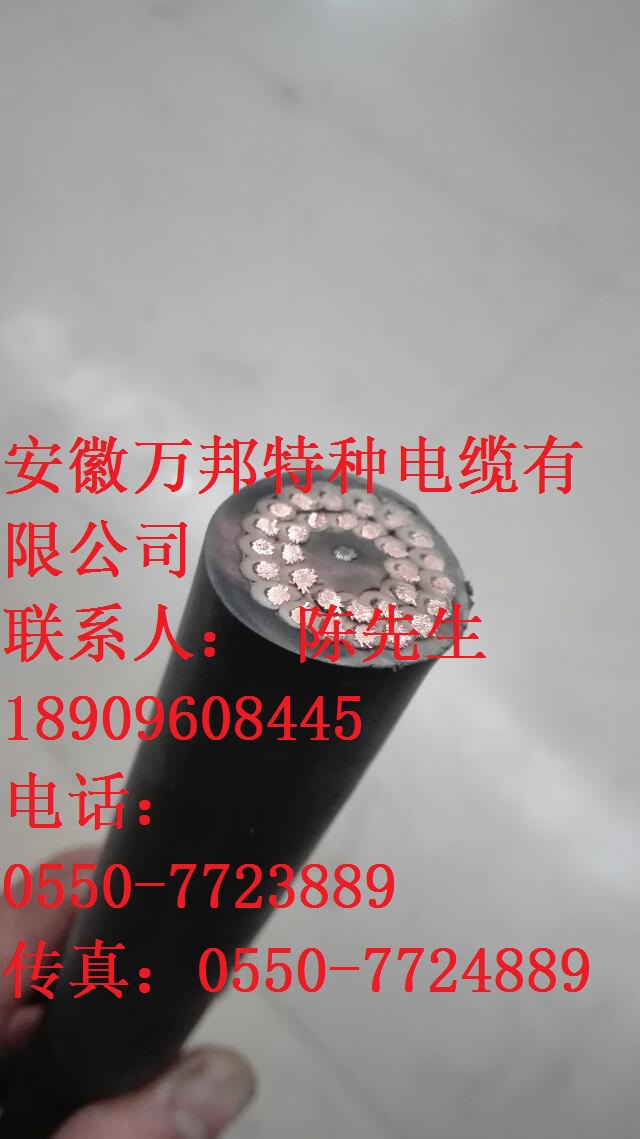 DCHH機(jī)車控制電纜 DCHH機(jī)車控制電纜