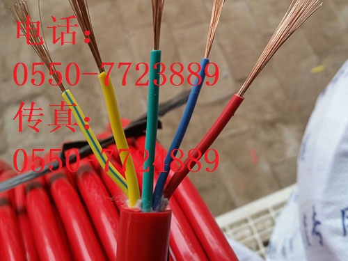 DJFGP系列氟塑絕緣硅橡膠護(hù)套計算機(jī)電纜 DJFGP系列氟塑絕緣硅橡膠護(hù)套計算機(jī)電纜