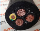 高柔性PUR屏蔽編碼器拖鏈電纜SENSOR-CP SENSOR-INDRAMAT-CHAIN-CP 高柔性PUR屏蔽編碼器拖鏈電纜SENSOR-CP SENSOR-INDRAMAT-CHAIN-CP