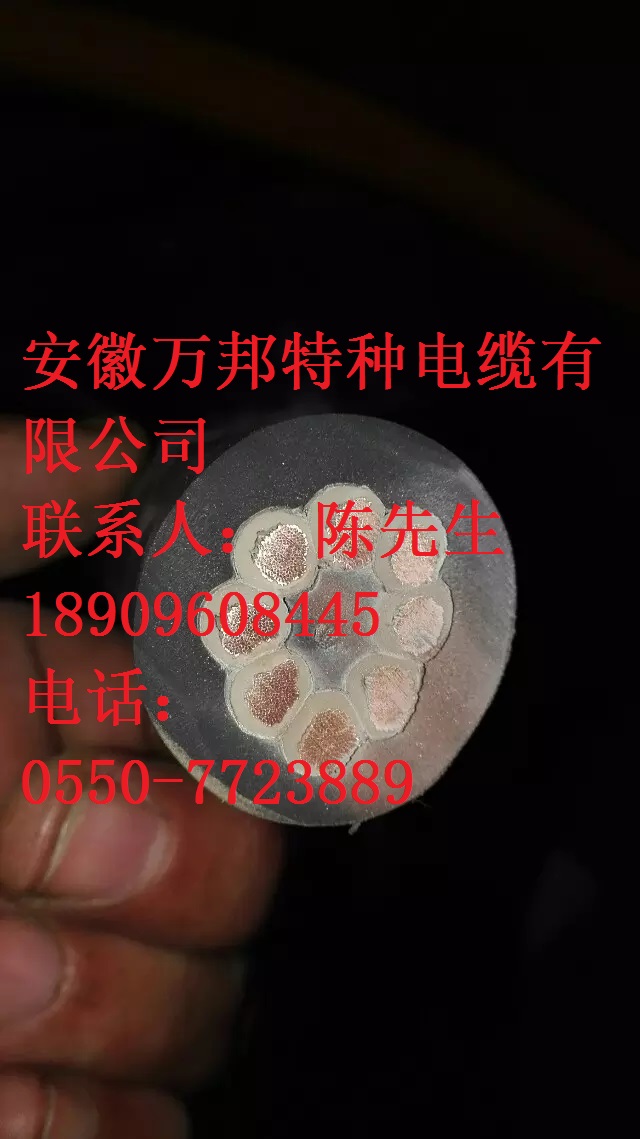LENZE拖鏈電纜 LENZE拖鏈電纜