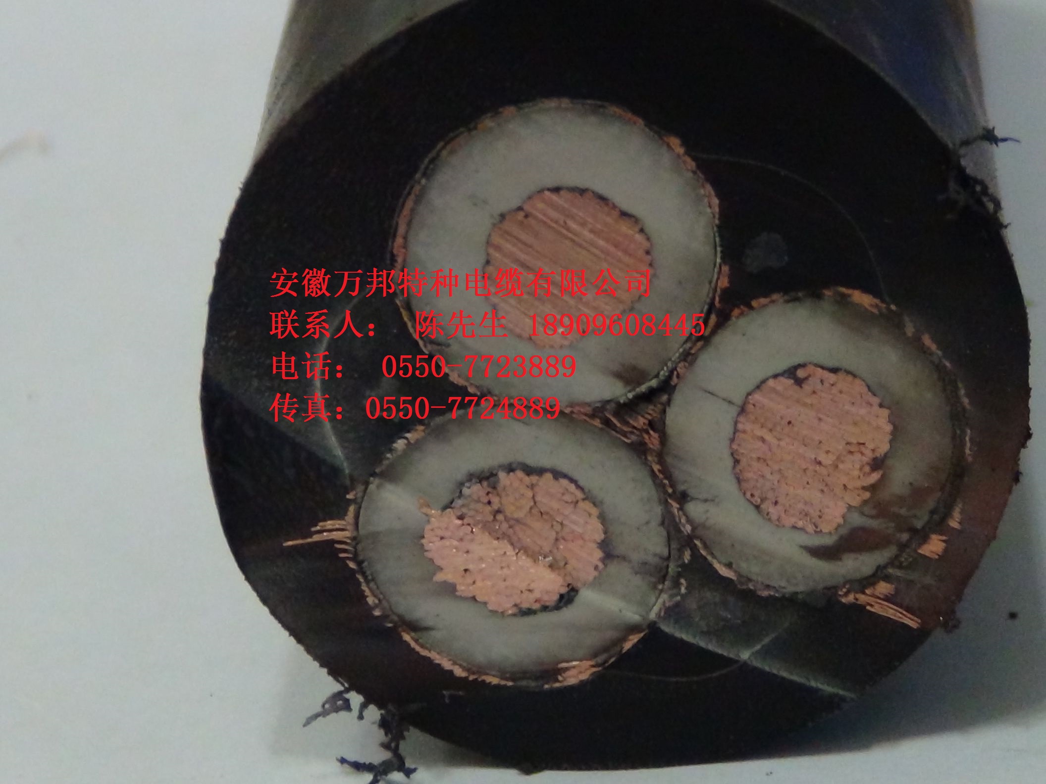 CHJPF船舶電力照明控制電纜   CHJPF船舶電力照明控制電纜