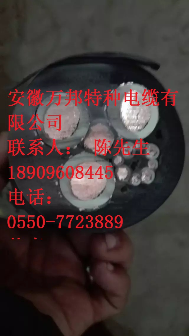 FCTW FCTW-G FCTWK FCTWK-G FCTWYJ FCTWYJ-G戶外升降機(jī)電纜 FCTW FCTW-G FCTWK FCTWK-G FCTWYJ FCTWYJ-G戶外升降機(jī)電纜