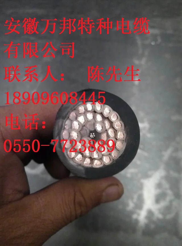 WDZR-FCYY(P) WDZR-FCYJ(P)-125 WDZR FCKYJ(P)-125曲撓電纜 WDZR-FCYY(P) WDZR-FCYJ(P)-125 WDZR FCKYJ(P)-125曲撓電纜
