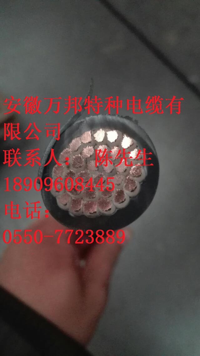 WDZR-FCYY(P) WDZR-FCYJ(P)-125 WDZR FCKYJ(P)-125曲撓電纜 WDZR-FCYY(P) WDZR-FCYJ(P)-125 WDZR FCKYJ(P)-125曲撓電纜