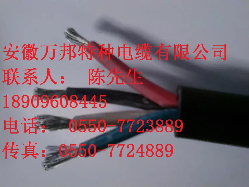 ZR-SYVFR ZR-YKVFR ZR-SYVFRD影視設(shè)備攝影光源軟電纜 ZR-SYVFR ZR-YKVFR ZR-SYVFRD影視設(shè)備攝影光源軟電纜