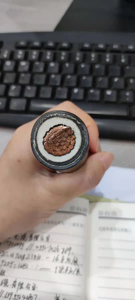 JFEM-6KV乙丙絕緣氯醚護套電機引接線 JFEM-6KV乙丙絕緣氯醚護套電機引接線