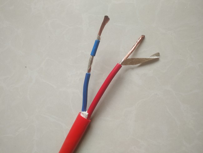 F46LSG<a href='http://e-yinshua.com.cn'>耐高溫電纜</a> F46LSG耐高溫電纜