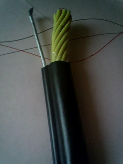 RVVG 12*1.5  14*1.5 16x1.5行車(chē)手柄線 RVVG 12*1.5  14*1.5 16x1.5行車(chē)手柄線